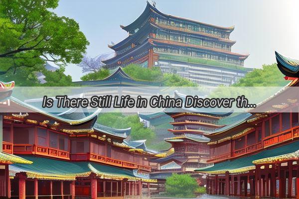 Is There Still Life in China Discover the Thriving Pulse of the Worlds Largest Population